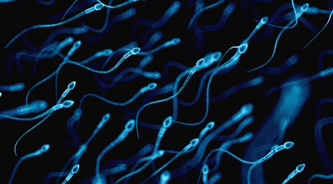13 Signs You Have High Quality Semen