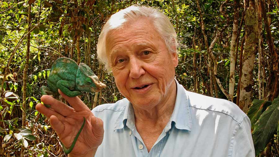 David Attenborough