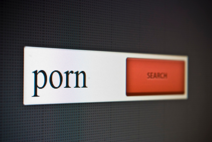 Internet search bar with phrase porn