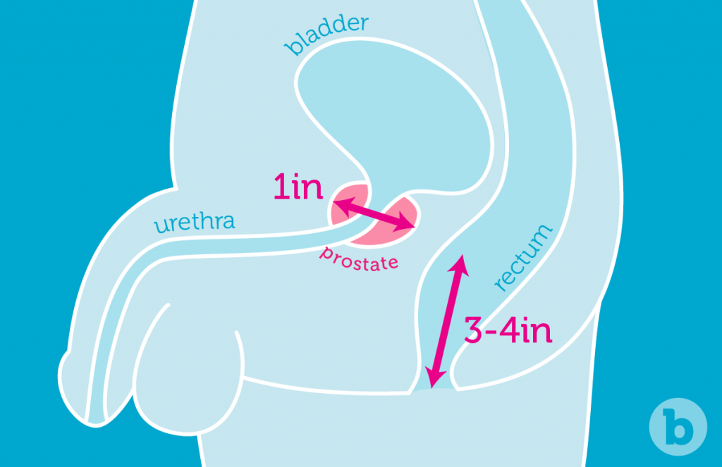 prostate massage diagram