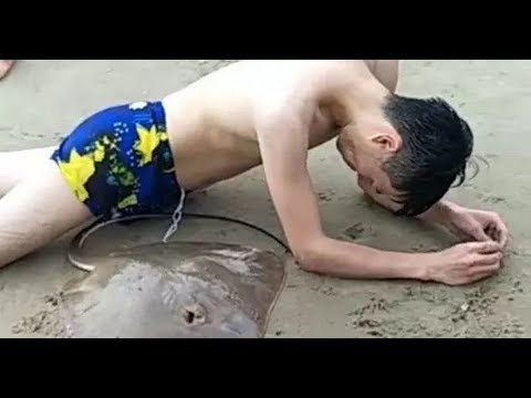 man stuck to stingray